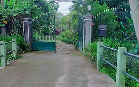 Rumah Sawah